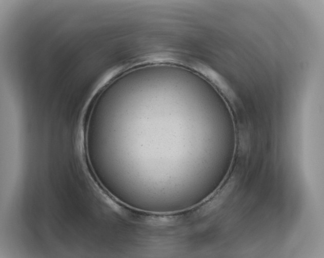 X0000112921286200908241219