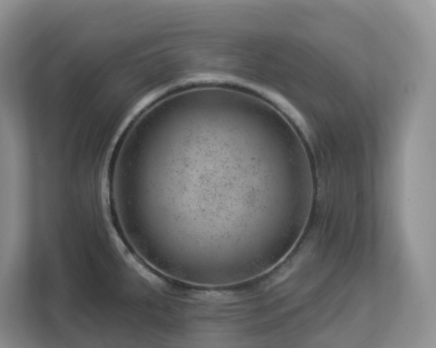 X0000112921287200908241219