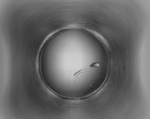 X0000112921288200908241219