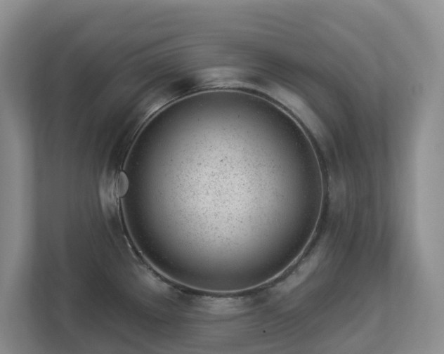 X0000112921289200908241219