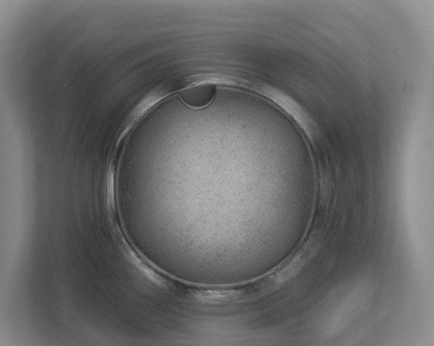 X0000112921290200908241218