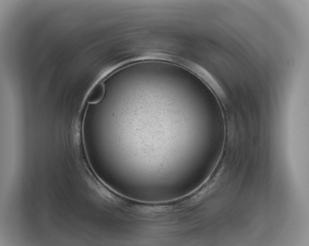 X0000112921292200908241218