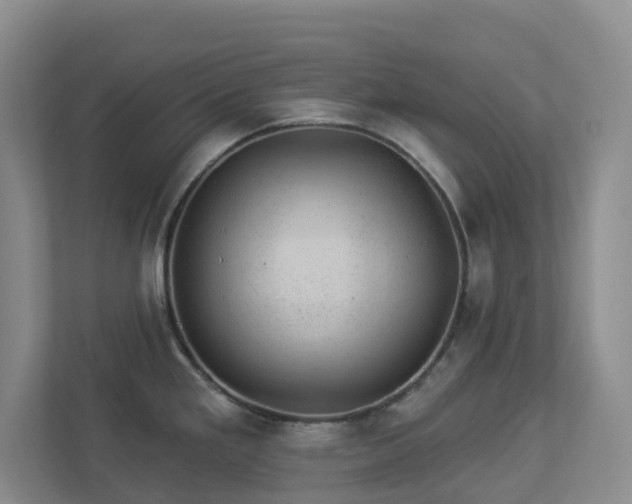 X0000112921293200908241218