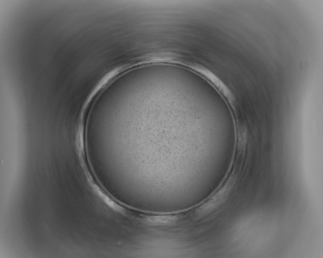 X0000112921294200908241218