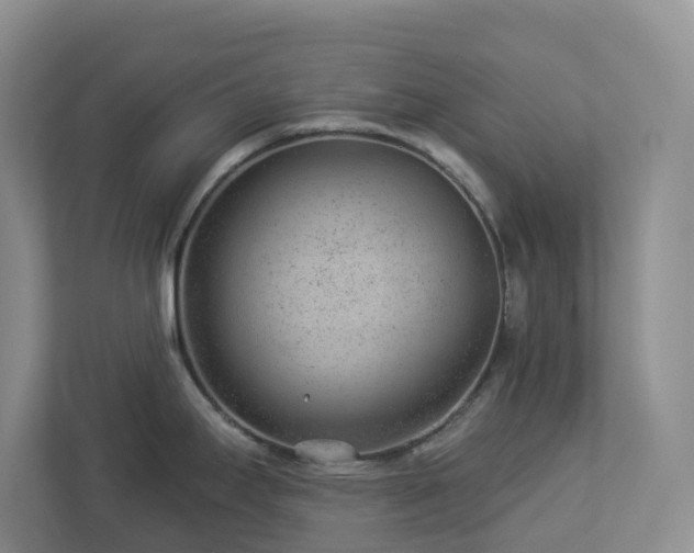 X0000112921295200908241218