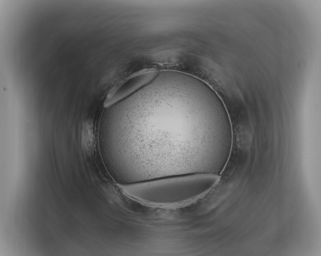X0000112921298200908241218
