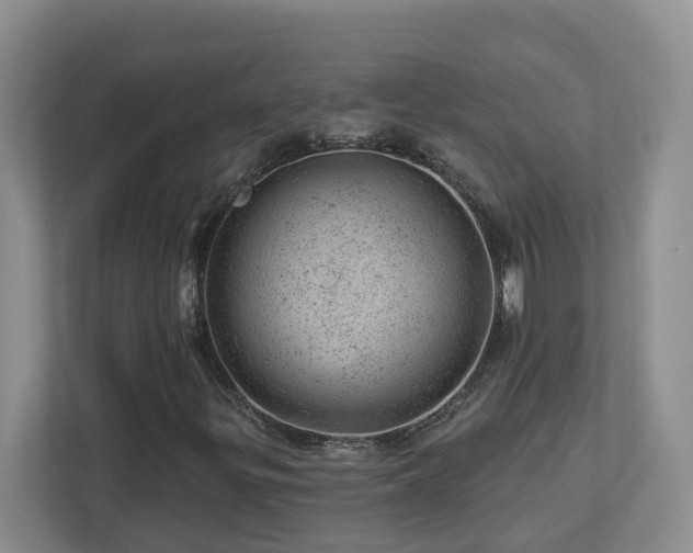 X0000112921299200908241218