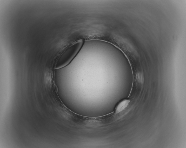 X0000112921300200908241218