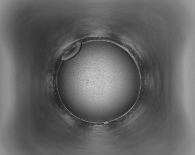 X0000112921304200908241218