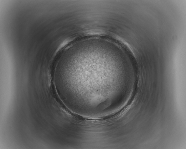 X0000112921306200908241218