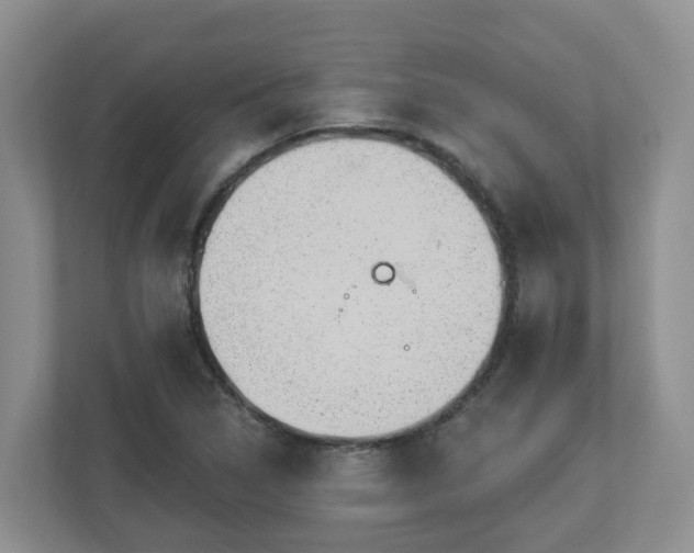X0000112921314200908241218