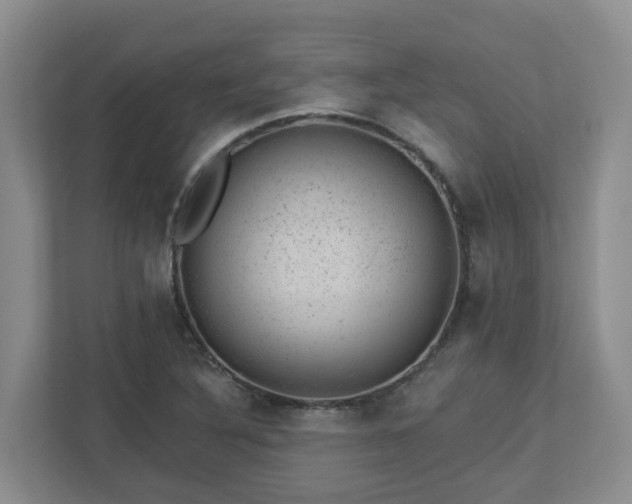 X0000112921316200908241218