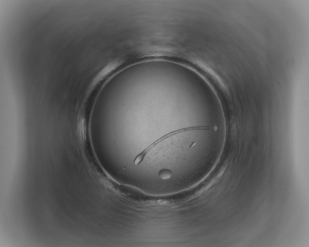 X0000112921317200908241218