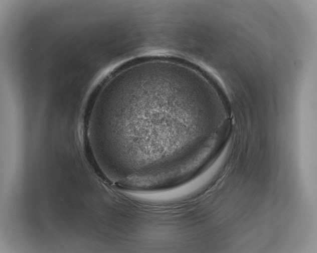 X0000112921319200908241218