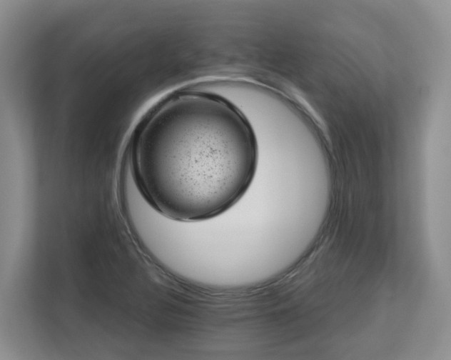 X0000112921320200908241218