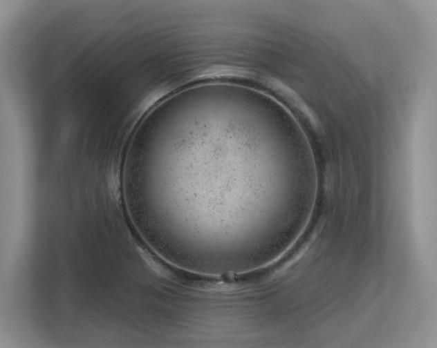 X0000112921321200908241218