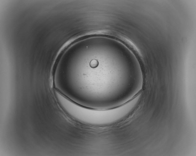 X0000112921324200908241218
