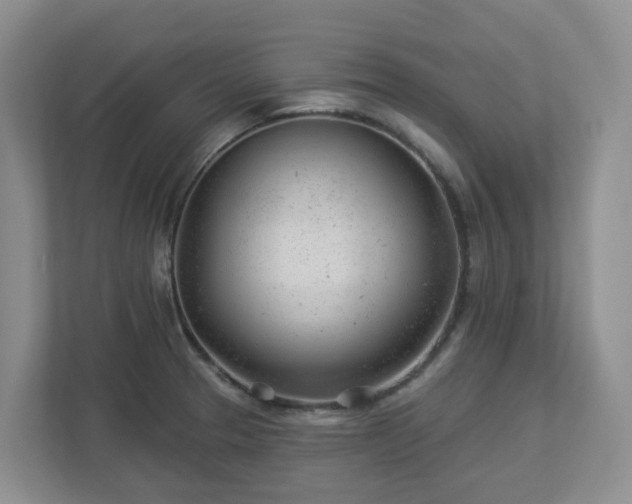 X0000112921329200908241218