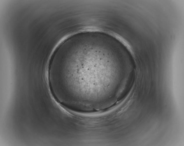 X0000112921334200908241218