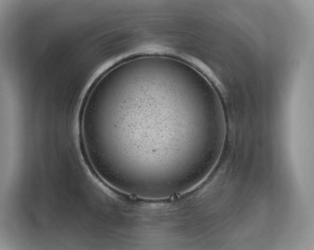 X0000112921335200908241218