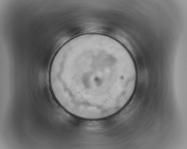 X0000112921338200908241218