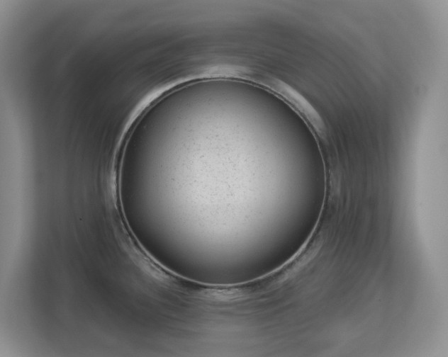 X0000112921340200908241218