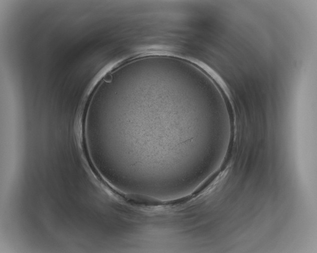 X0000112921341200908241218