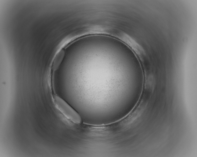 X0000112921342200908241218