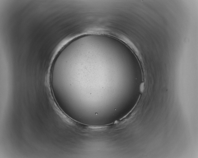 X0000112921344200908241218