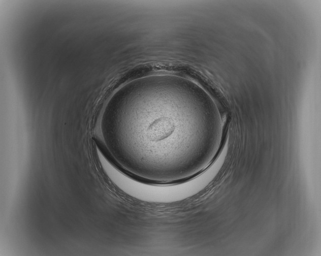X0000112921345200908241218