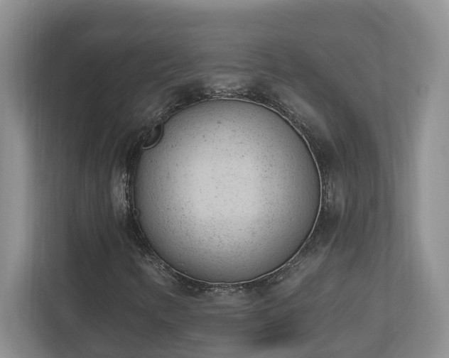 X0000112921346200908241218