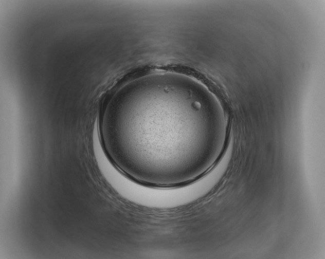 X0000112921349200908241218
