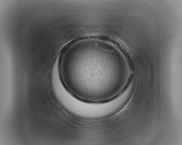 X0000112921353200908241218