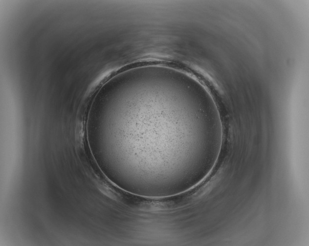 X0000112921355200908241218