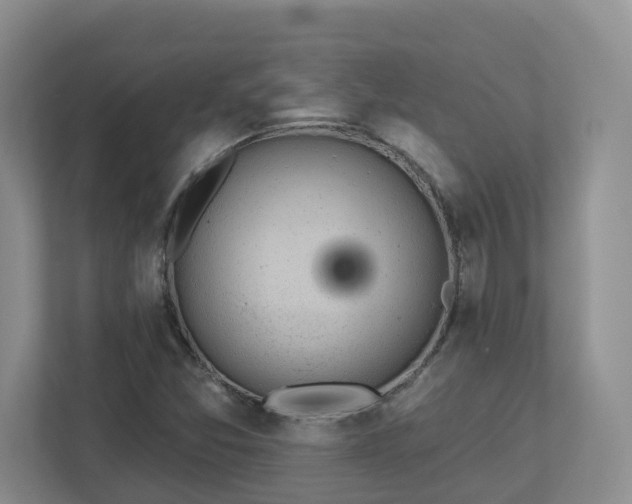 X0000112921357200908241218