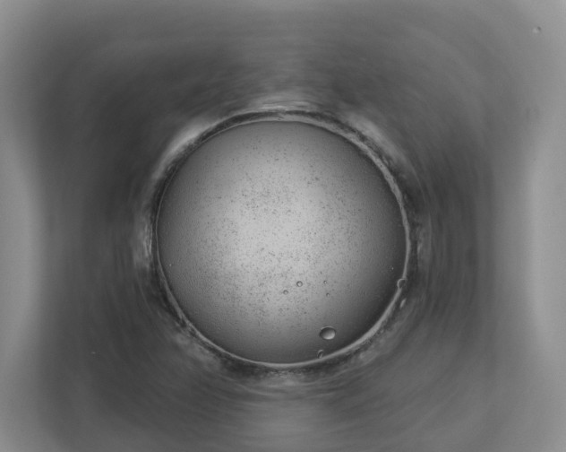 X0000112921358200908241218