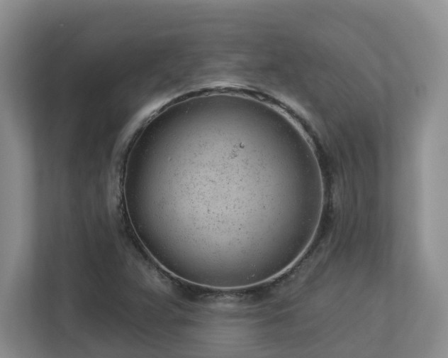 X0000112921359200908241218