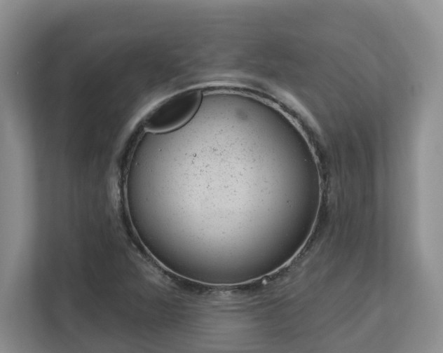 X0000112921360200908241218