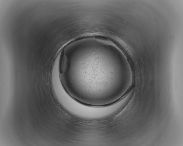 X0000112921361200908241218