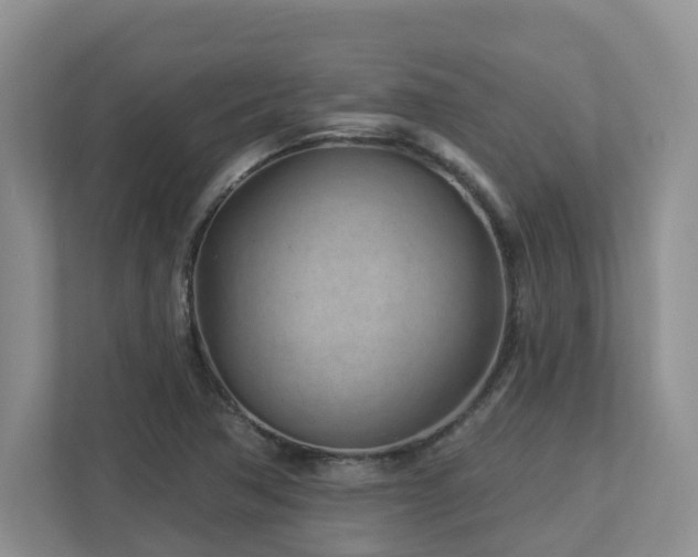 X0000112921362200908241218