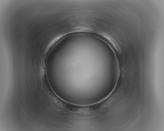 X0000112921363200908241218