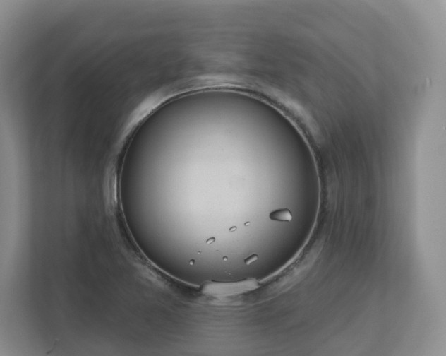 X0000112921365200908241218