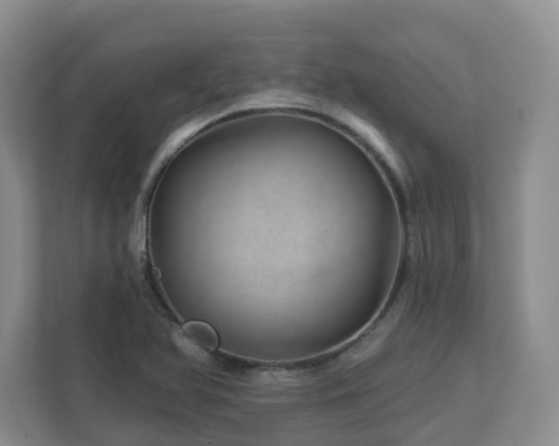 X0000112921366200908241218