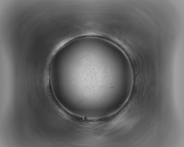 X0000112921367200908241217