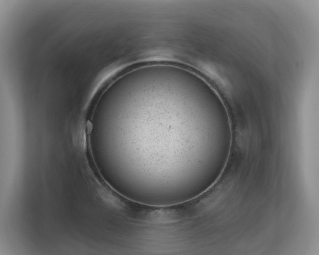 X0000112921368200908241217
