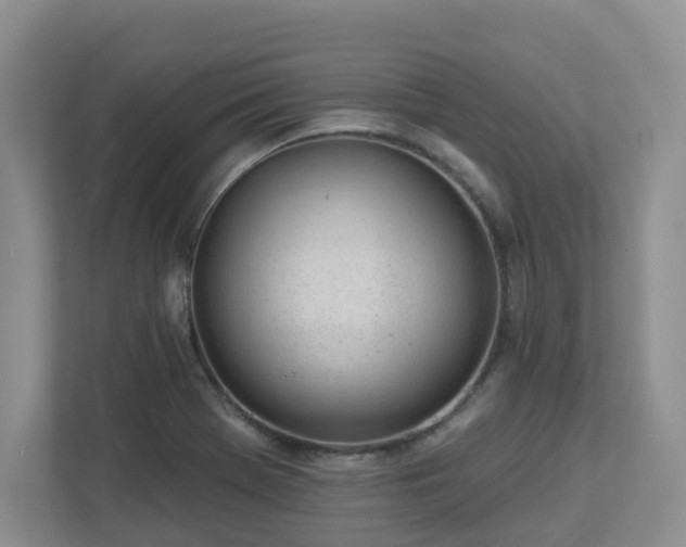 X0000112921369200908241217