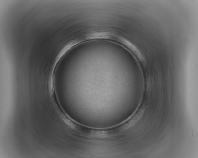 X0000112921370200908241217