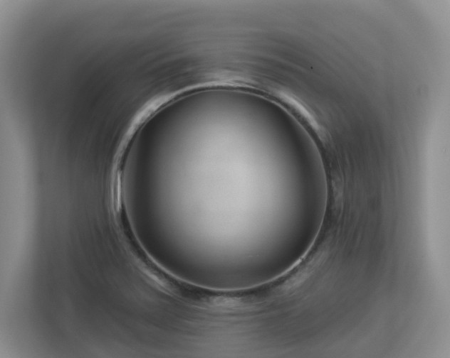 X0000112921371200908241217