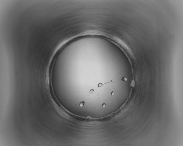 X0000112921372200908241217