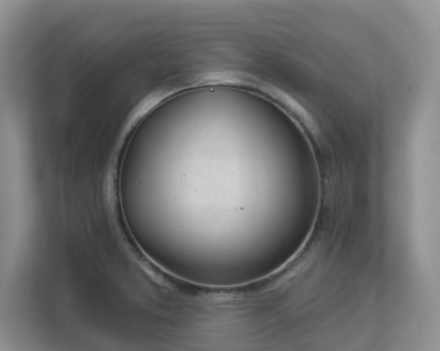 X0000112921373200908241217